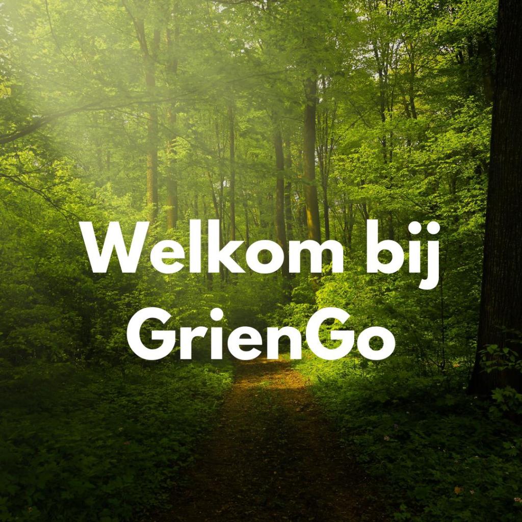 This image has an empty alt attribute; its file name is whatsapp-image-2025-04-29-at-21.56.46.jpeg